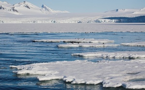 Grand Nord Grand Large revendique l’aventure extrême