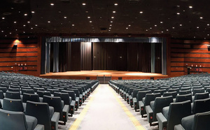 Patrick Fiori en concert