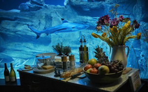 Airbnb : l'Aquarium de Paris loue une chambre immergée dans le bassin des requins