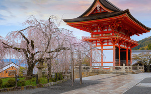 Hoshinoya Asuka : le nouvel hôtel de luxe signé Hoshino Resorts