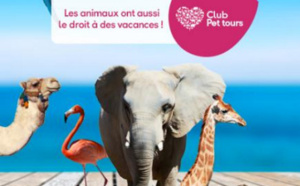 Club Pet tours : Jet tours lance son Club dédié aux animaux de compagnie