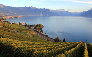 Suisse : le Château de Marnand rouvre ses portes après 5 ans de restauration