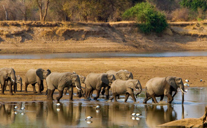 Zambie : Anantara ouvre un établissement dans le parc national de Kafue