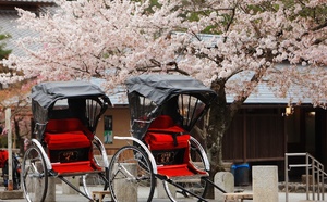 Japon : ANA propose des vols intérieurs gratuits aux voyageurs français