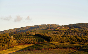 Les meilleures régions viticoles du nord de l'Italie pour les groupes : guide de location d'autocars en Italie