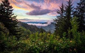 Etats-Unis : les touristes étrangers vont payer jusqu’à 100$ de plus pour accéder aux parcs nationaux