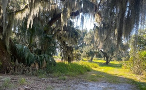 Floride : Kissimmee, l’atout loisirs de la destination Orlando