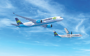 AirCaraibes.biz : Quand l'expertise caribéenne rencontre l'innovation B2B