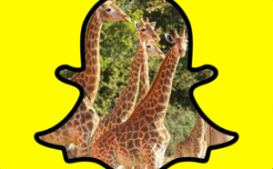 Le parc Planète Sauvage se met à Snapchat