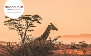 Karibuni rejoint l’annuaire des DMC, DestiMaG