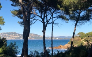 Le littoral va-t-il survivre aux désordres climatiques ? [ABO]