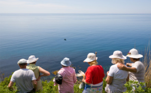 Les tour-opérateurs généralistes dominent le marché du groupe Les tour-opérateurs généralistes dominent le marché du groupe