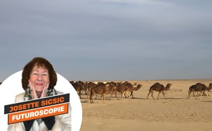 Tunisie : vous prendrez bien un peu de désert ? [ABO]