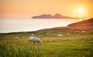 Le Tourisme Irlandais à la rencontre des agences de voyages en régions