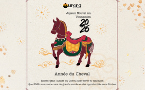 Vietnam 2026 : Quelles ressources pour optimiser vos ventes ?