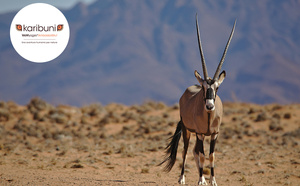 Namibie : le royaume des contrastes avec Karibuni