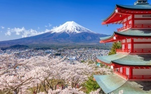Pourquoi le Japon est-il une destination si tendance ?