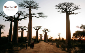 Madagascar, terre d’aventure hors des sentiers battus avec Karibuni