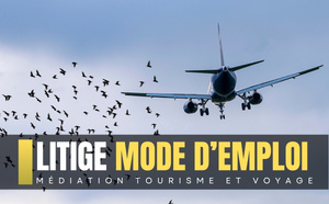 Collision aviaire et retard aérien : les limites du droit à indemnisation [ABO]