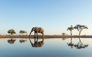 Safari-croisière en Afrique australe : CroisiEurope vous emmène aux confins du monde