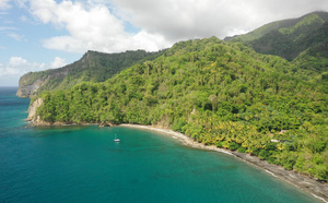 Le Mois des Agents de Voyages : retour sur une expérience 100 % Martinique