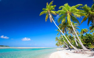 Aranui Cruises : une offre promotionnelle pour les saisons 2026 et 2027