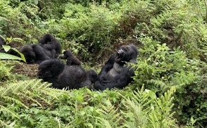 Le Rwanda, un tourisme à haute altitude