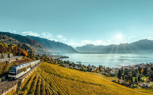 Voyage à travers les vignes et les vallées