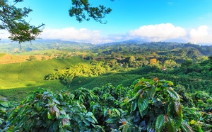Colombie : après le séisme, les activités touristiques reprennent