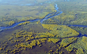 Pantanal : immersion sauvage au coeur d'une nature d'exception