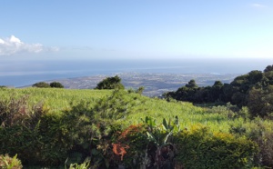 La Réunion : un road-trip d'une semaine autour de l'île intense !