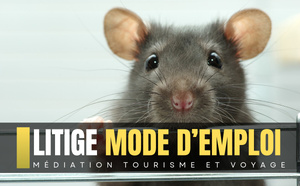 Vol annulé à cause d’un rat à bord : la compagnie doit-elle indemniser les passagers ? [ABO]