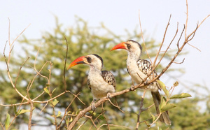 Tanzania Leaders Club : élargir l’offre pour accueillir plus de visiteurs