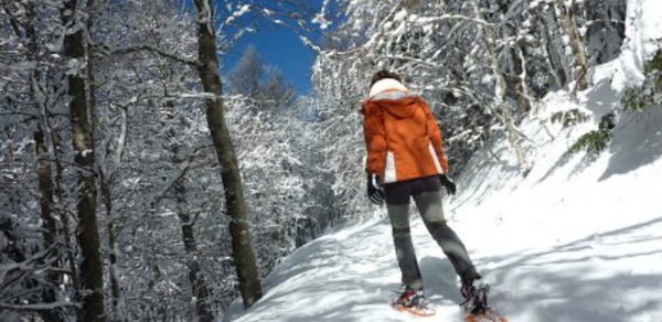 Discover what winter feels like in Ardèche
