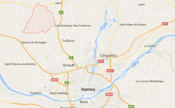 Notre-Dame-des-Landes : Ségolène Royal plaide pour l'abandon du projet