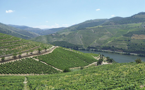 Porto et la vallée du Douro, fascinant duo Unesco