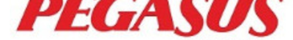Pegasus Airlines : +4,5 % de CA sur les 3 premiers trimestres de 2016