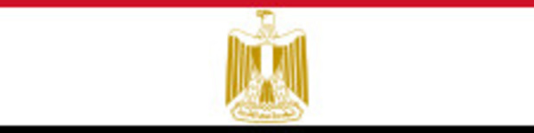 Formalités d'entrée : Egypte, bientôt un e-visa ?