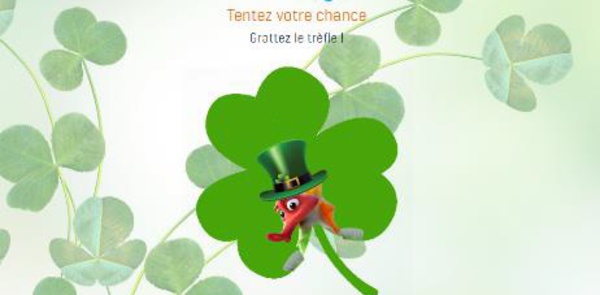 Saint Patrick : Selectour met l'Irlande à l'honneur