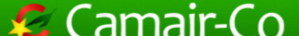 Cameroun : Camair-Co proche de la fin