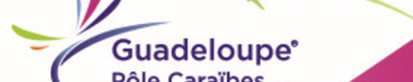 Guadeloupe Pôle Caraïbes : 218 616 passagers (+4,23 %) en février 2017