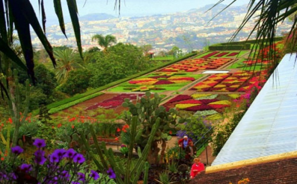 Madère : avec la crise, les autocaristes montent au filet