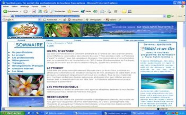 Polynésie : la ''boîte à outils'' pour ne plus ''bricoler'' sur la destination...