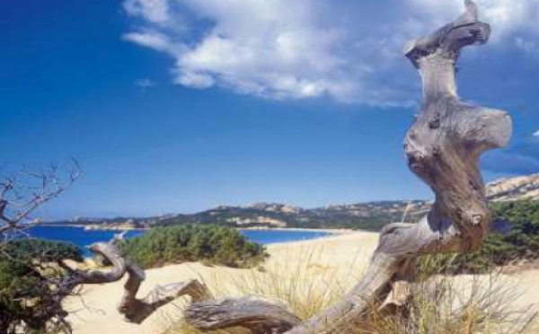 Corse du sud : le Domaine de Murtoli, distingué par les Tatler Travel Awards