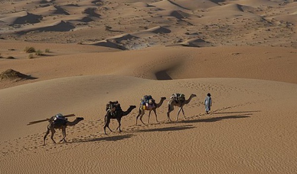 Evaneos lance la Mauritanie et l’Algérie