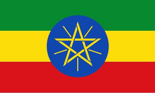 Ethiopie : le e-visa s'ouvre aux voyageurs d'affaires