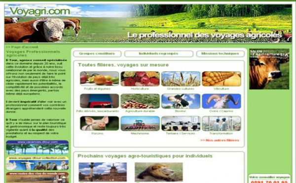 D-Tour lance 6 sites Internet