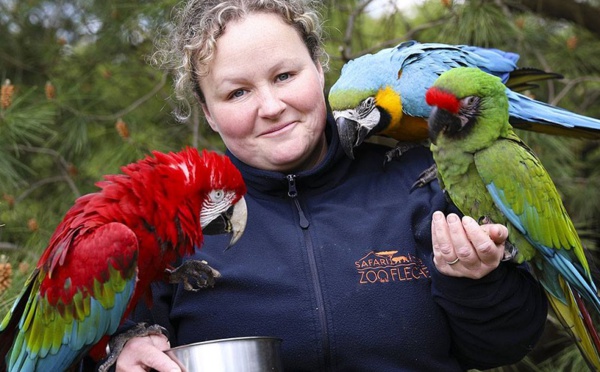 Sarthe : le Zoo de La Flèche recrute 70 saisonniers