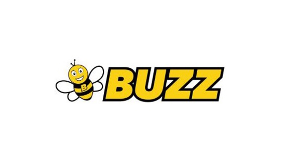 Ryanair Sun : la compagnie charter change de nom et devient "Buzz"
