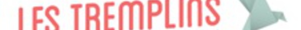 Tremplins by Voyage Privé : les 2 start-up lauréates sont...
